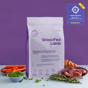 Buddy Hrana Za Odrasle Osetljive Pse, Jagnjetina 2kg